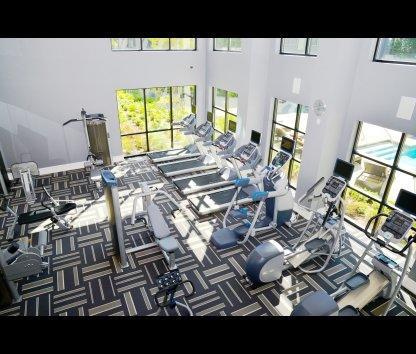 Executive Posh Apartment Dallas
