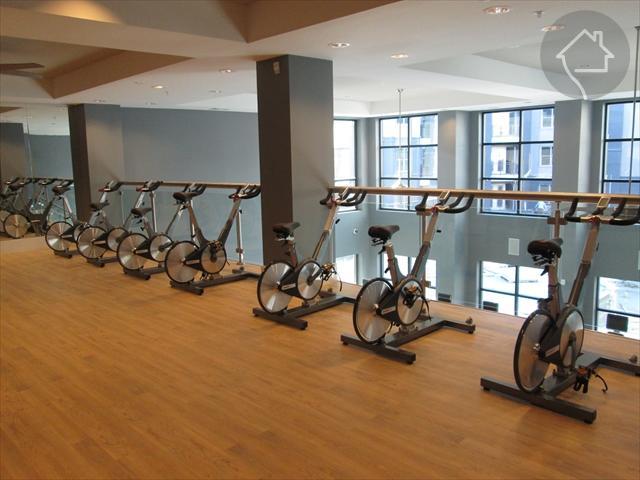 Apartment Executive Posh Dallas